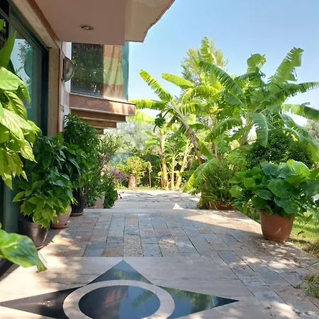 Otel Different Divjake